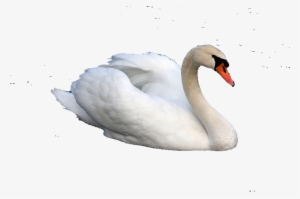 About - Hamsa Images Png #1366696