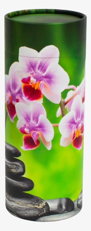 Creative Art - Purple Orchid Flower With Bamboo Stone #1367031