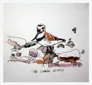 Watercolor Birds 2 - Watercolor Painting #1368032