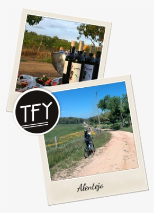 Pt Or Using Our Reservations Form - Picture Frame #1368234