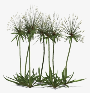 Go To Image - Paper #1369091