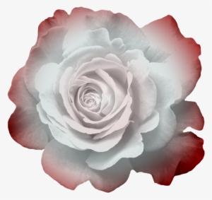 Transparent Flowers, Button Flowers, Clip Art, Photoshop, - Flower #1369912