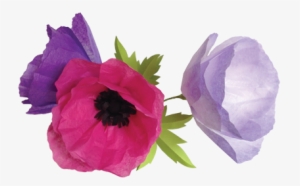 Get Crafty With 100 Simple Paper Flowers - Paper #1370252
