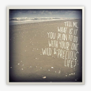Life Plan Beach - Tell Me, What Is It You Plan To Do With Your One Wild #1370635