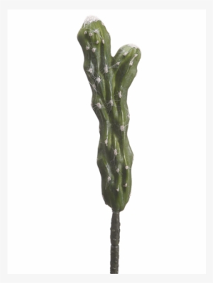 75" Churro Cactus Green - Allstate Floral 10.75" Churro Cactus Green (pack #1371264