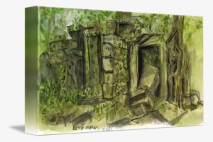 Vegetation Drawing Natural Environment - Drawing #1371329