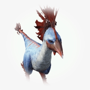 Icon - Domesticated Turkey #1372203