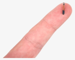 Electronics - Microchip Implant #1372400