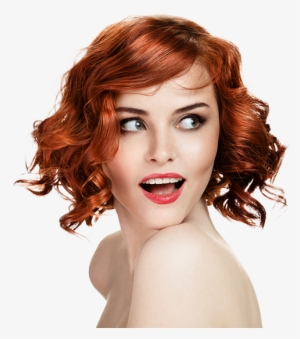 About Us - Fixel Contrastica #1372501