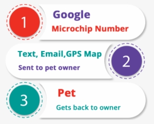 3 Steps - Telomere #1372599