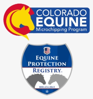 Equine Chip & Registration - Image May Contain: Text #1372674