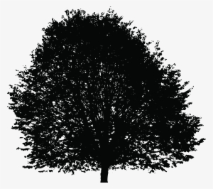 This Free Icons Png Design Of Large Lush Tree Silhouette #1372879