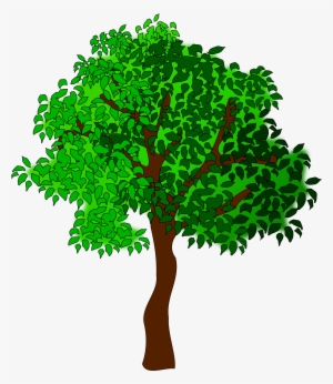 Generic Summer Tree - Tree Axonometric Png - Free Transparent PNG