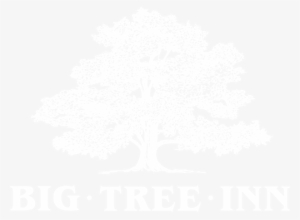 Big Tree Png #1373220