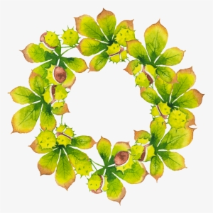 Creative Green Leaf Wreath Hd Png Hand Painted - Plantas En Circulos #1373282