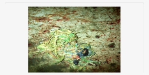 Mixed Recovered From Rumen Of Goat - Goat #1373283