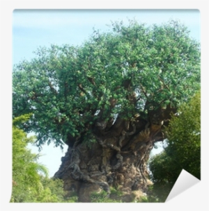 Disney World, The Tree Of Life #1373317