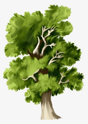 Неразобранное В Деревья Png - Tree #1373481