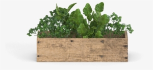 Portable Network Graphics #1373592