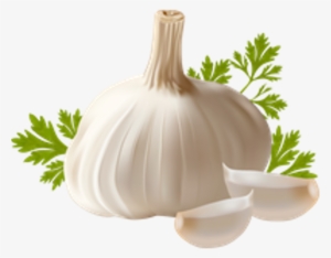 Ftestickers Sticker By Ani Chopurian - Garlic Clipart #1373831