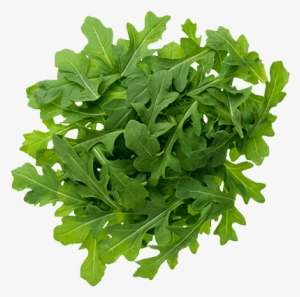 Arugula Png Image - Arugula Plant Health Benefits #1373845