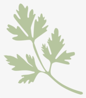 The Lills Food Parsley - Food #1373886