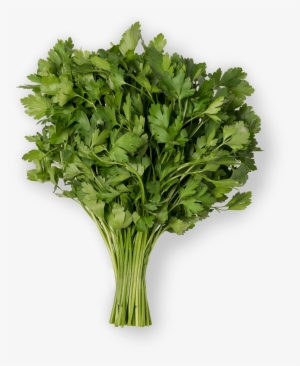 Parsley #1374096