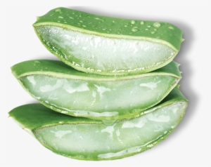 California Aloe Vera - Nature Republic Aloe Vera Png #1374097