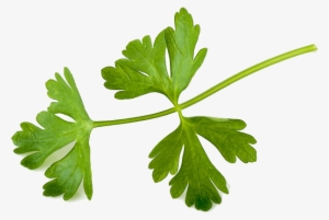 Chimichurri - Parsley #1374193