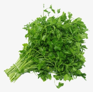 Parsley - Kale Fruit #1374213