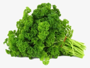 Parsley - Vegetables Flashcard #1374404