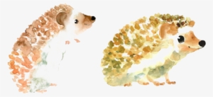 Baby Hedgehogs Drawing Watercolor Painting Illustration - Watercolor Hedgehog #1376728