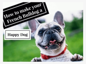 Dogs: Password Book When You Looks Like A Regular Book #1376904