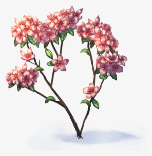 Screencast Azaleas - Azalea Transparent Png #1376961