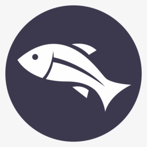 Fish Icon Png - Portrait Of A Man #1377648