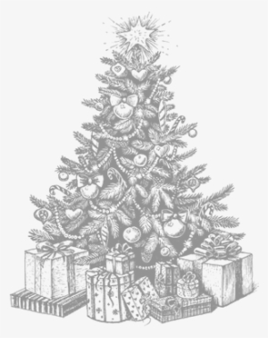 Christmas Menu Drinks Packages - Christmas Tree Sketch #1379431