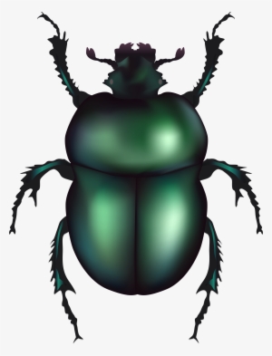 Beetle Clipart At Getdrawings #1380674