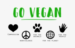 After School, I Walk Home Directly To The Cabinet In - Vegan Vegetarian #1384474