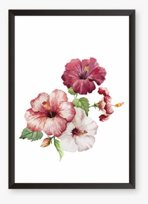 Hibiscus Flowers - Hibiscus Painting #1384546