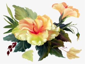 Publicat De Eu Ciresica La - Chinese Hibiscus #1384652