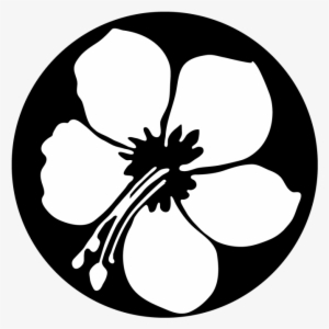 Hibiscus Flower - Apollo Hibiscus Flowersteel Gobo Ms-1164 #1384889