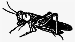 How To Set Use Grasshopper Svg Vector #1385130