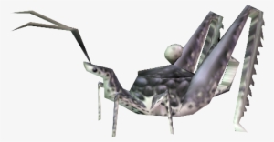 Grasshopper Tea - Tea #1385410 Grasshopper Tea - Tea #1385410