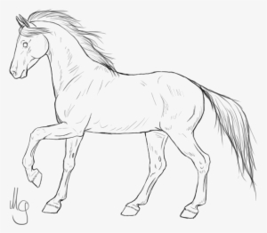 Mustang Horses Pony Line Art American Quarter Horse - Horse Drawing Png ...