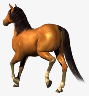 Horse Clipart Transparent Background #1385795 Horse Clipart Transparent Background #1385795