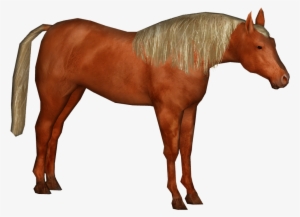 Elven Horse 7 - Wiki #1385796