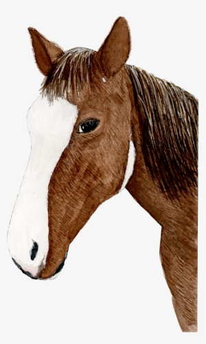 Hand Painted Horse Print #1385911 Hand Painted Horse Print #1385911