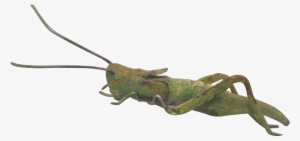 Antique Vienna Bronze Figure Of A Green Grasshopper, - 20th Century #1385936