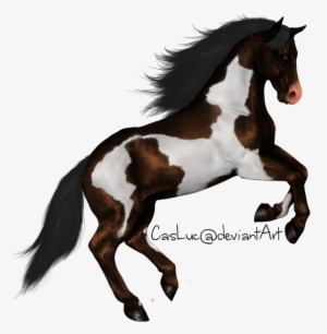 Horse Designs For Embroidery - Horse Standing Png #1385991