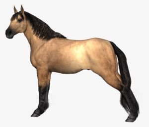 Tier Png #1386043